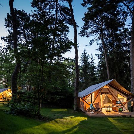 Camping La Pinede Hotel Excénevex Kültér fotó